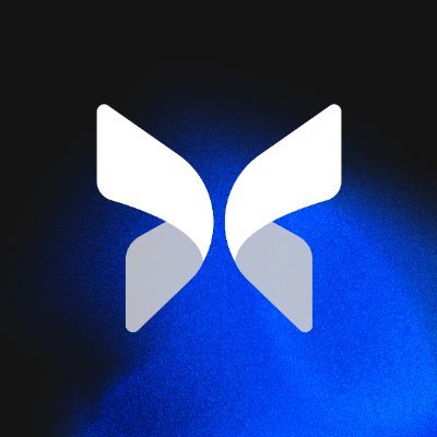 Morpho Network